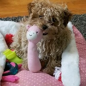 Meet your Posher, Jennifer